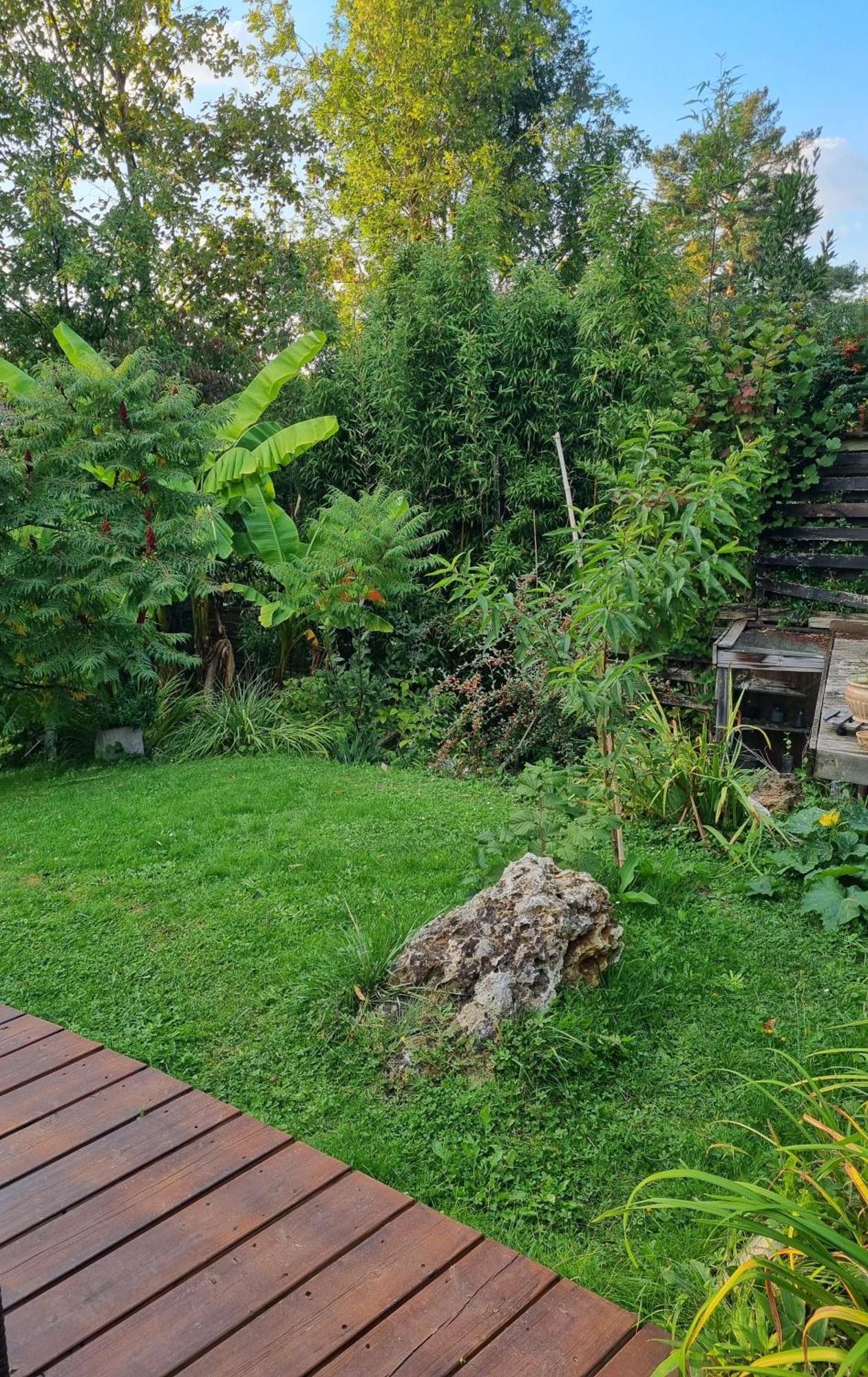 Belle Maison D'Art Verdoyante & Jardin แซงต์-เรมี-เลส์-เชฟรูส ภายนอก รูปภาพ